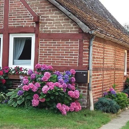 Von Wiegen, Ferienwohnungen Schneverdingen Exteriör bild